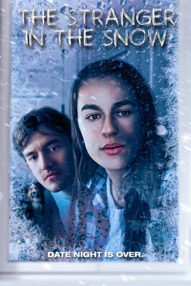 The Stranger in the Snow poster