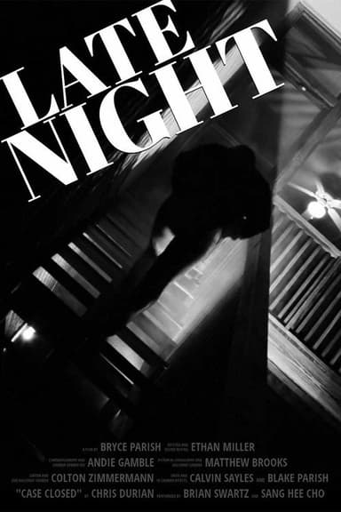 Late Night poster