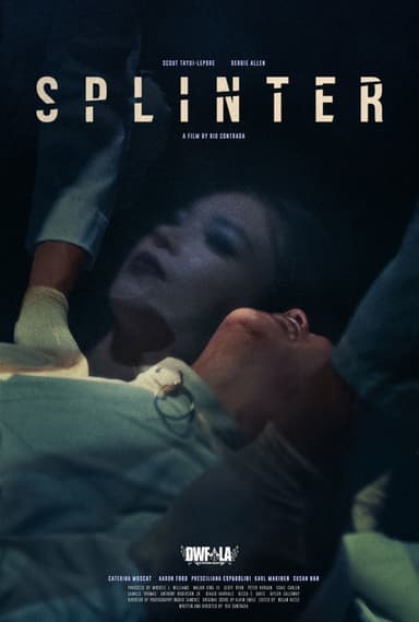 Splinter poster