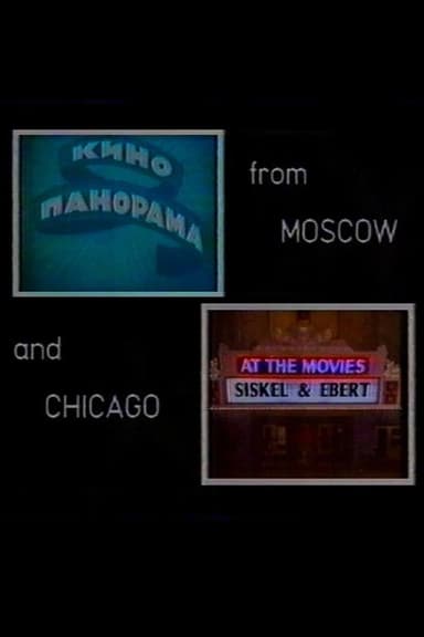 Visions: From Moscow and Chicago poster