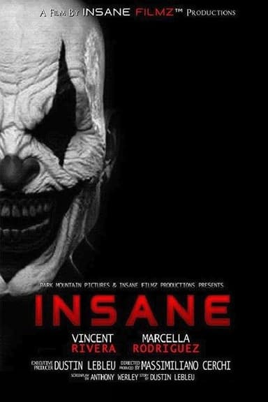 Insane poster