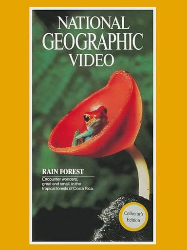 Rain Forest poster