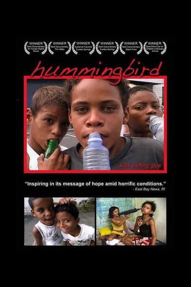Hummingbird poster