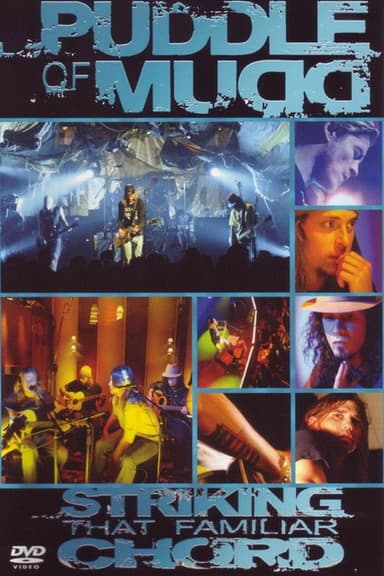Puddle of Mudd: Striking That Familiar Chord poster