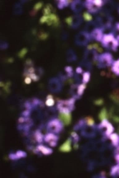 Abaton poster