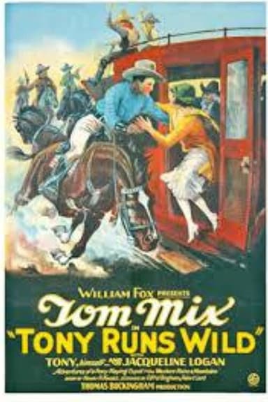 Tony Runs Wild poster