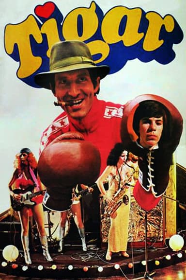 The Tiger poster