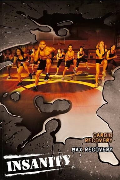 Insanity: Max Recovery poster