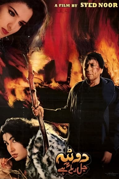 Dupatta Jal Raha Hai poster