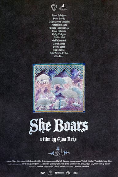 She Boars poster