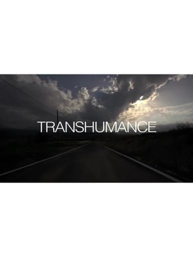 Transumanza poster