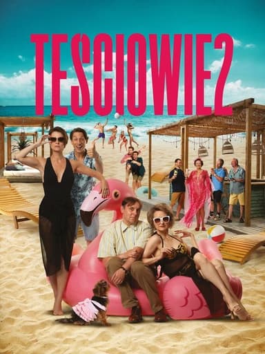The In-Laws 2 poster