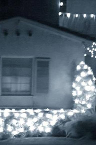Poem B (The Guest House) poster