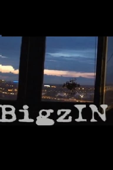 BigzIN poster