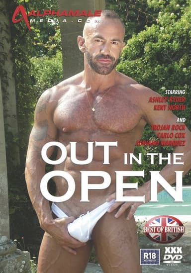 Out in the Open poster