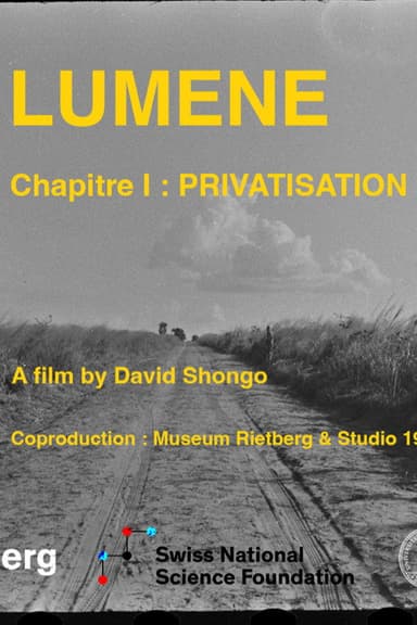 Lumene: Privatisation poster