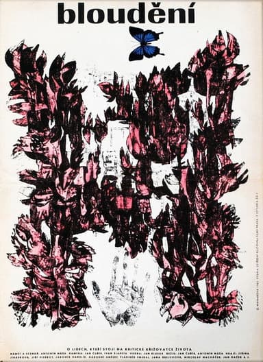 Searching poster