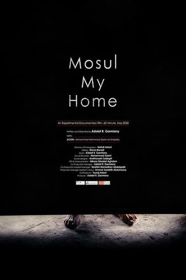 Mosul, My Home poster