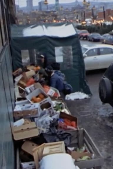 Surfing the Waste: a Musical Documentary about Dumpster Diving poster