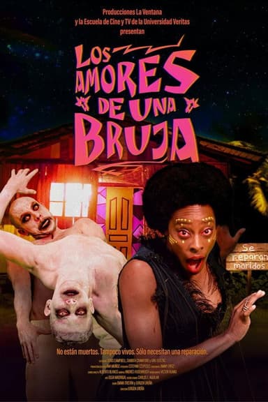 The Loves of a Witch poster