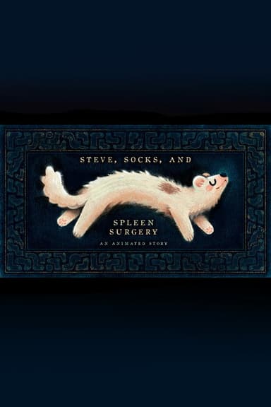 Steve, Socks, and Spleen Surgery poster
