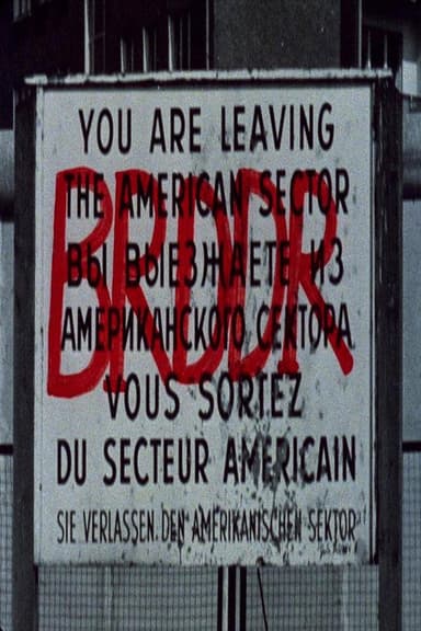 BRDDR poster