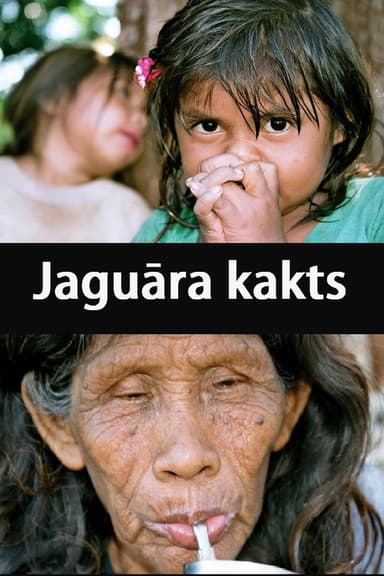 Jaguar's Corner poster