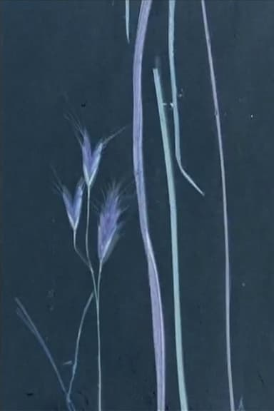 I follow rivers poster