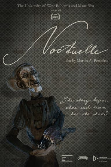 Noctuelle poster
