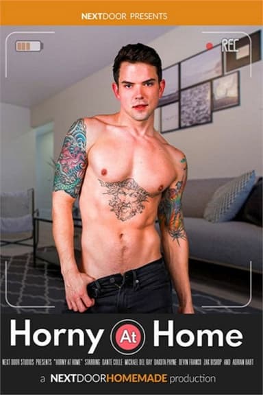 Horny at Home poster