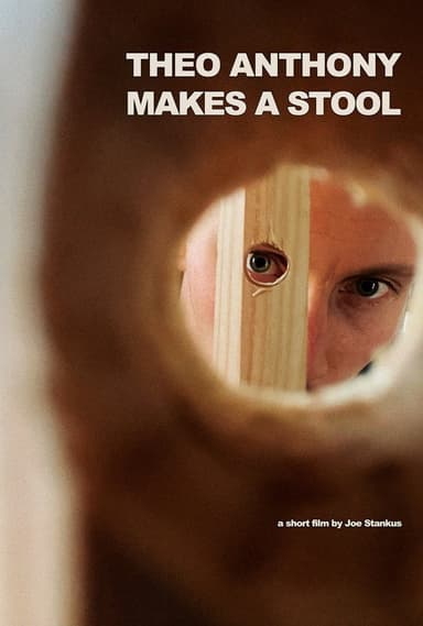 Theo Anthony Makes a Stool poster