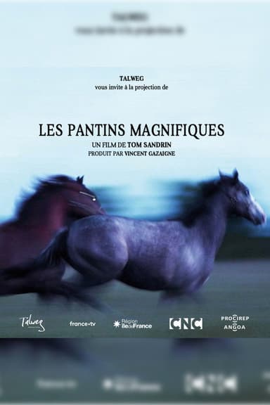 Les pantins magnifiques poster