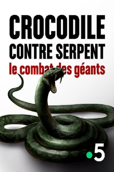 Crocodile contre serpent Le combat des géants poster