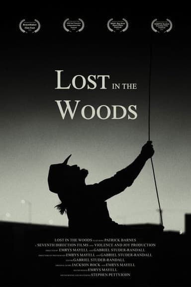 Lost in the Woods poster
