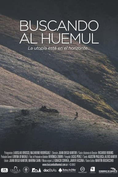 Buscando al huemul poster