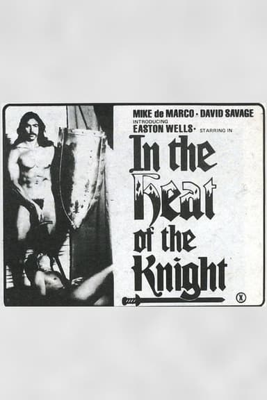 In The Heat of The Knight poster