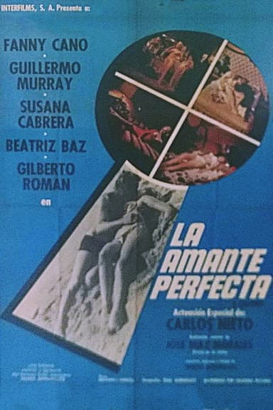 The Perfect Lover poster