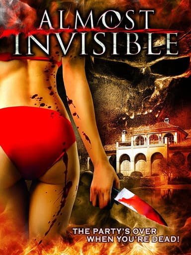 Almost Invisible poster