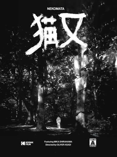Nekomata poster