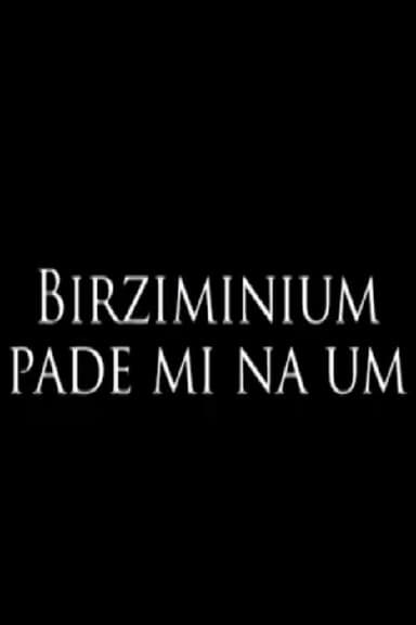 Birziminium Crossed My Mind! poster