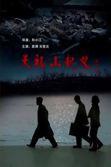 天福山起义 poster