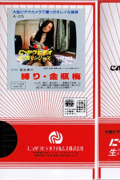 Asami Ogawa's Binding: Jin Ping Mei poster