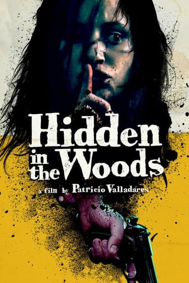 Hidden in the Woods poster