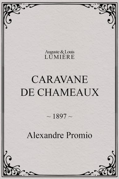 Caravane de chameaux poster