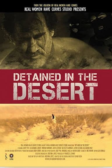 Detained in the Desert poster