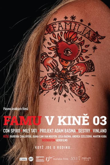 FAMU v kině 03 poster