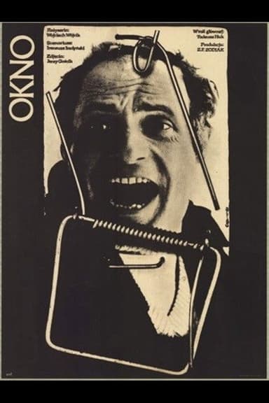 The Window poster