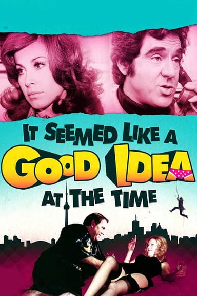 It Seemed Like a Good Idea at the Time poster