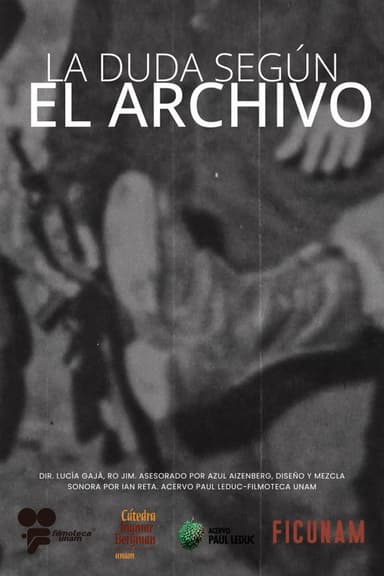 The Doubt According to the Archives poster
