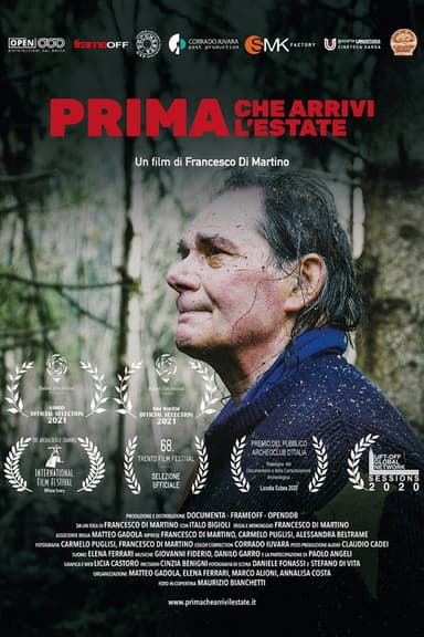 Prima che arrivi l'estate poster